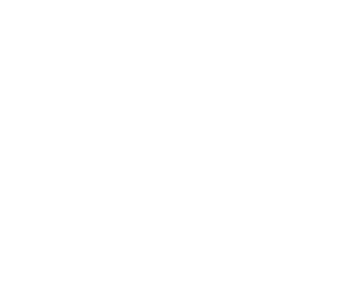 Bright.Net.Works. - Netzwerk der guten Wege